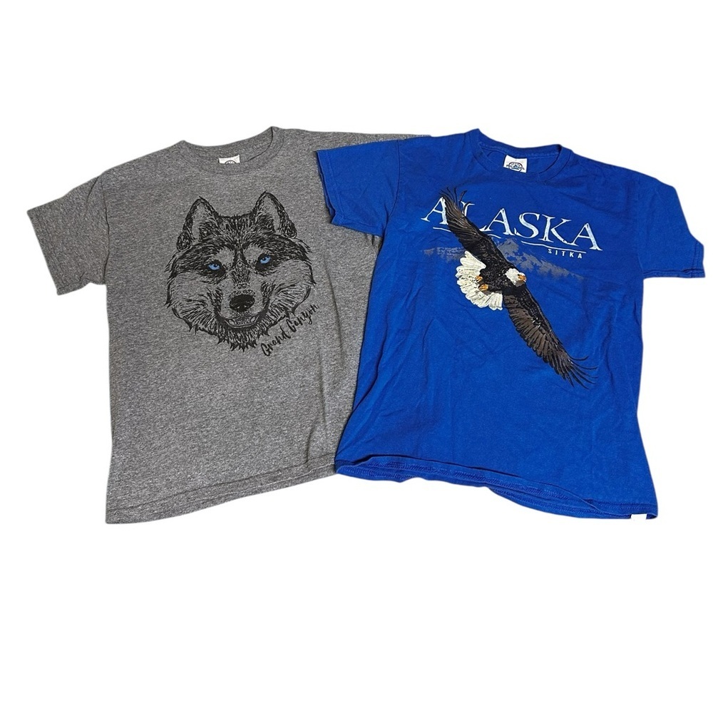 Delta Pro Weight Boys M Blue Gray Wolf Grand Canyon Alaska Graphic T-shirts (2)